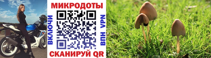 цена Мирный Галлюциногенные грибы мухоморы